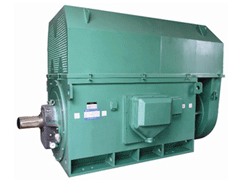 兰山Y系列6KV高压电机